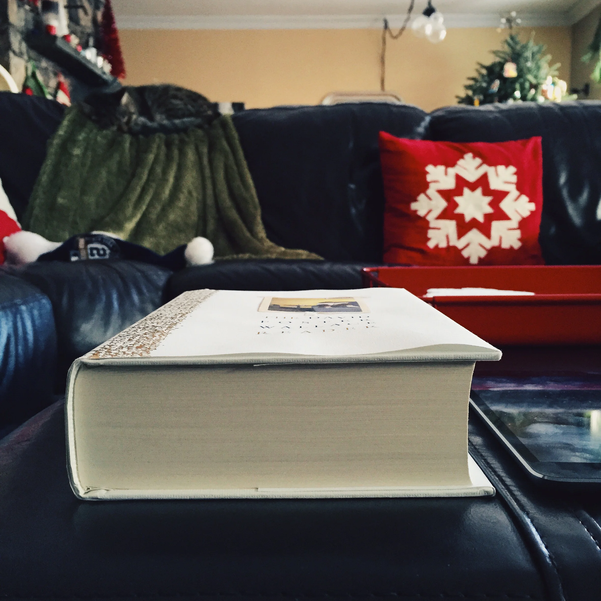 The Physical Constraints of a Book