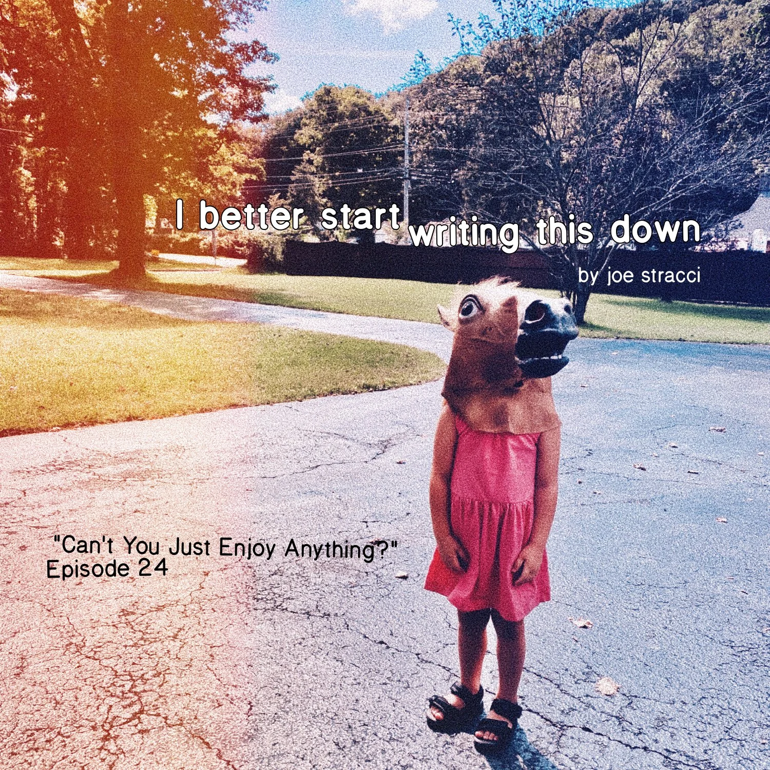 Ep. 24: Can’t You Just Enjoy Anything? episode artwork