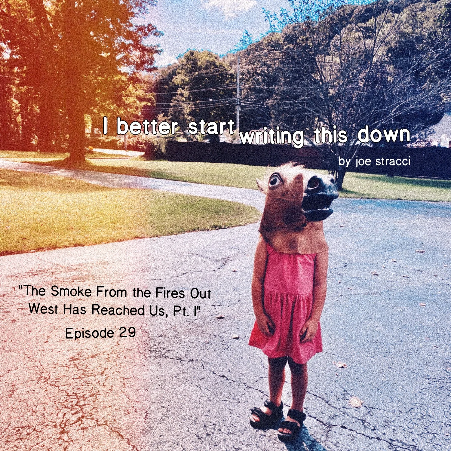 Ep. 29: The Smoke From the Fires Out West Has Reached Us, Pt. I episode artwork