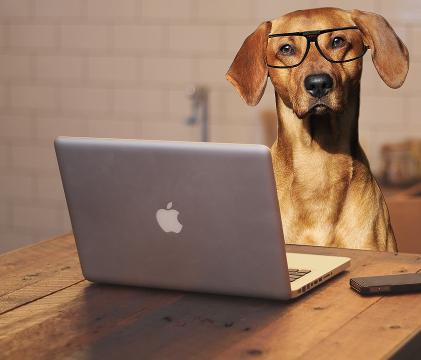 Top 6 Signs Your Small Business Might Need a New Accountant