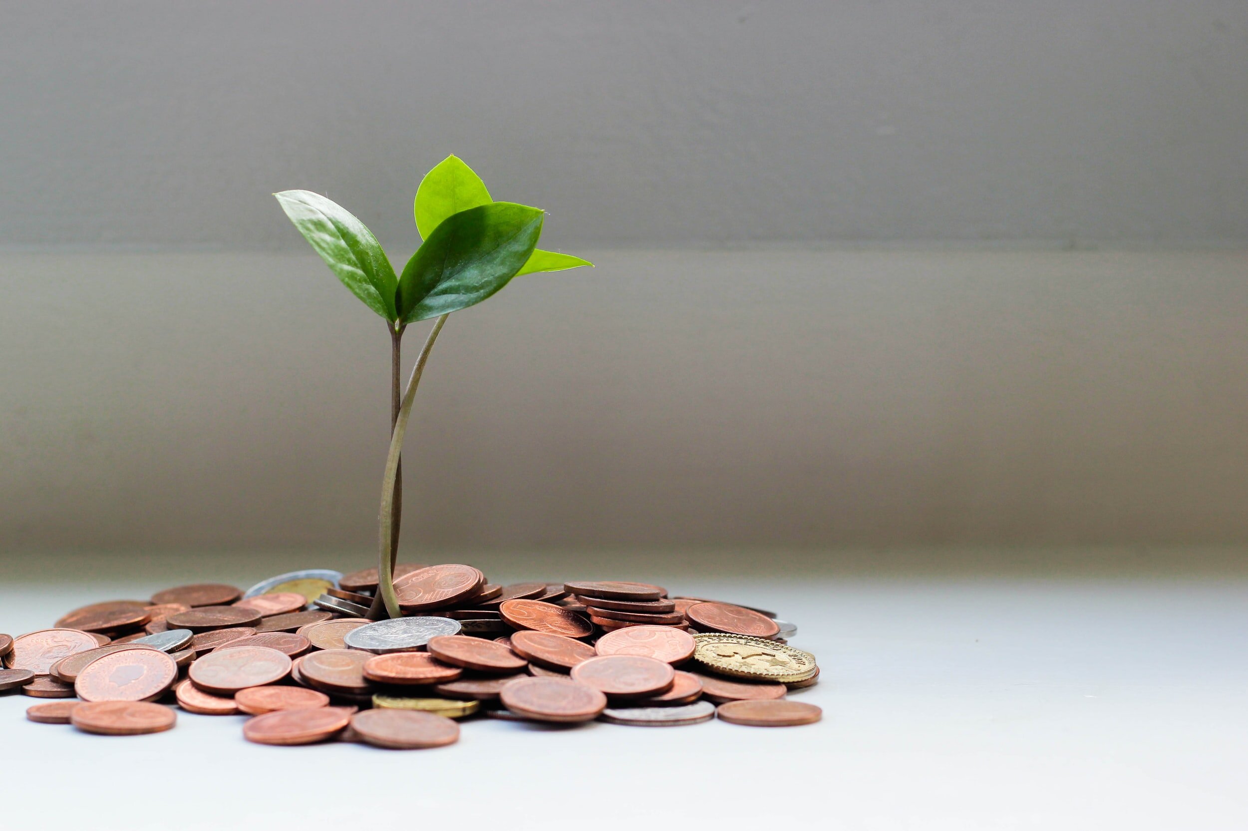 Why and How to Transition from a Sole Proprietorship to a Corporation