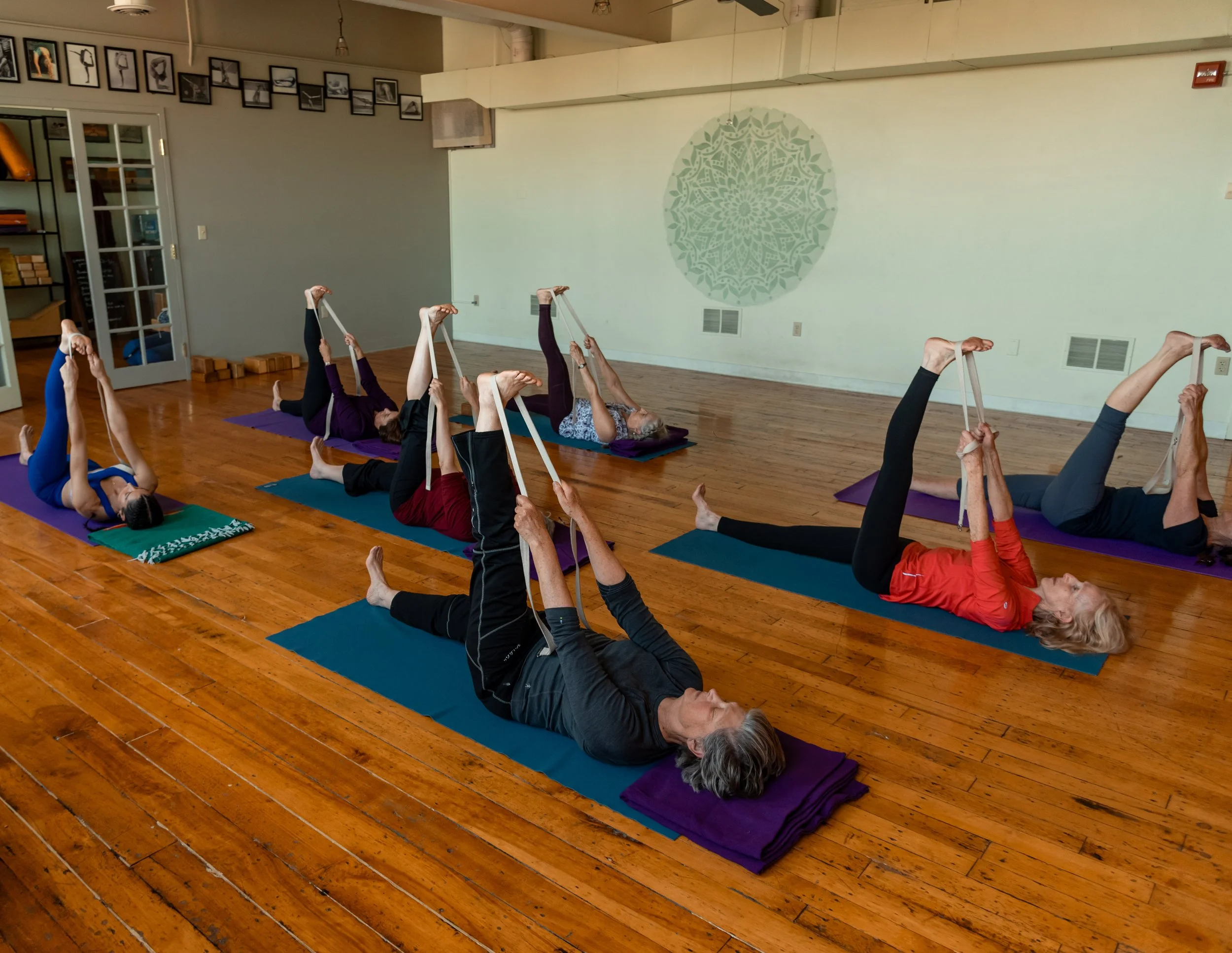 Foundations of Iyengar Yoga - 4-Week Beginners Series