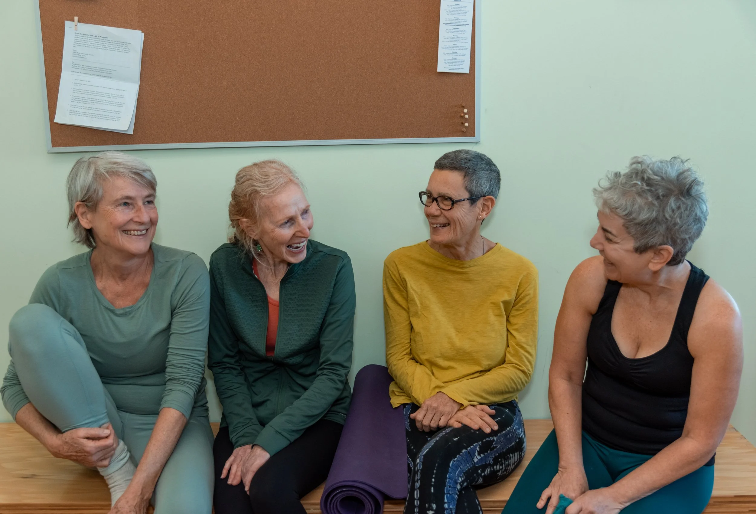 Iyengar Yoga Source Philosophy Study Group