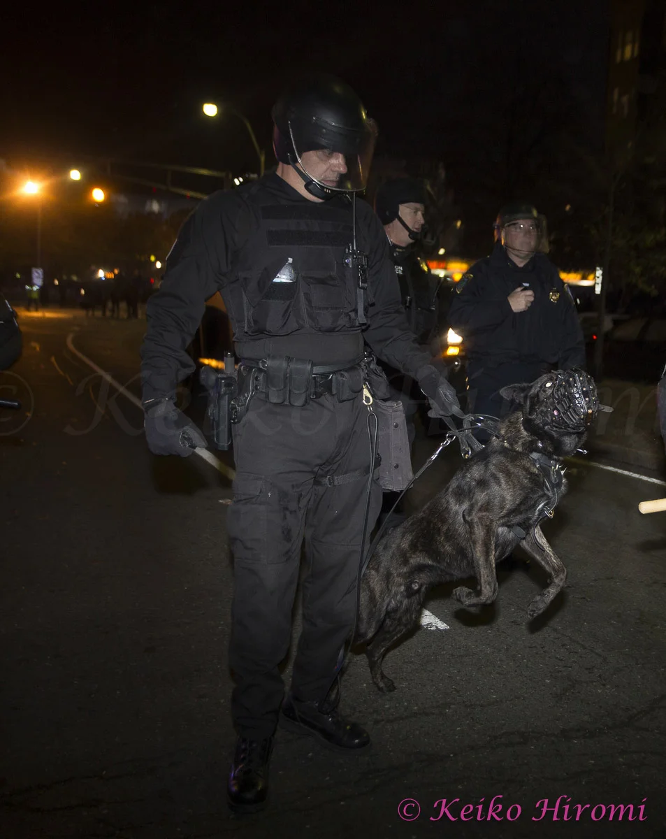 October 30 2013, Boston, MA USA; Mass State Police in riot gear move the crowd from around Fenway Park as fans celebrate the Boston Red Sox defeating the St. Louis Cardinals to win the World Series just outside Fenway Park in Boston, MA. 