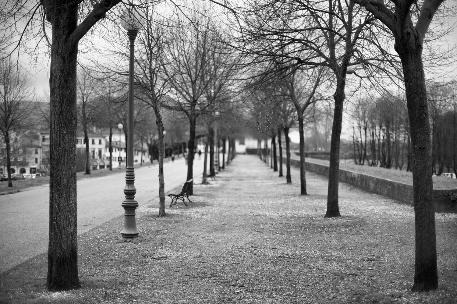 Lucca