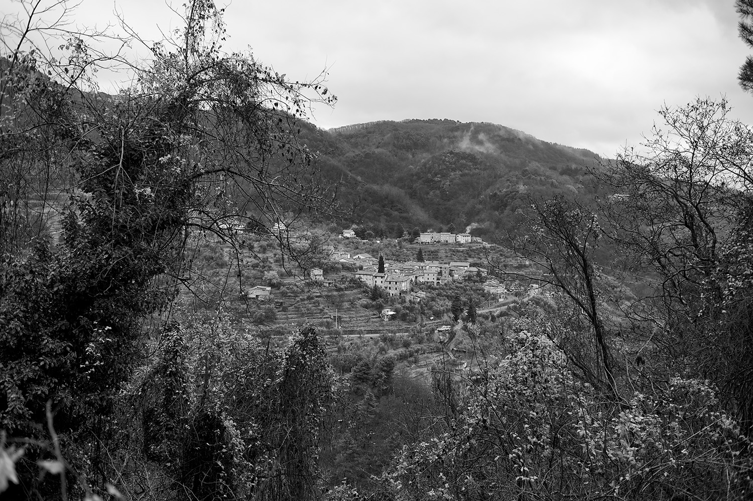 Tuscan Hills