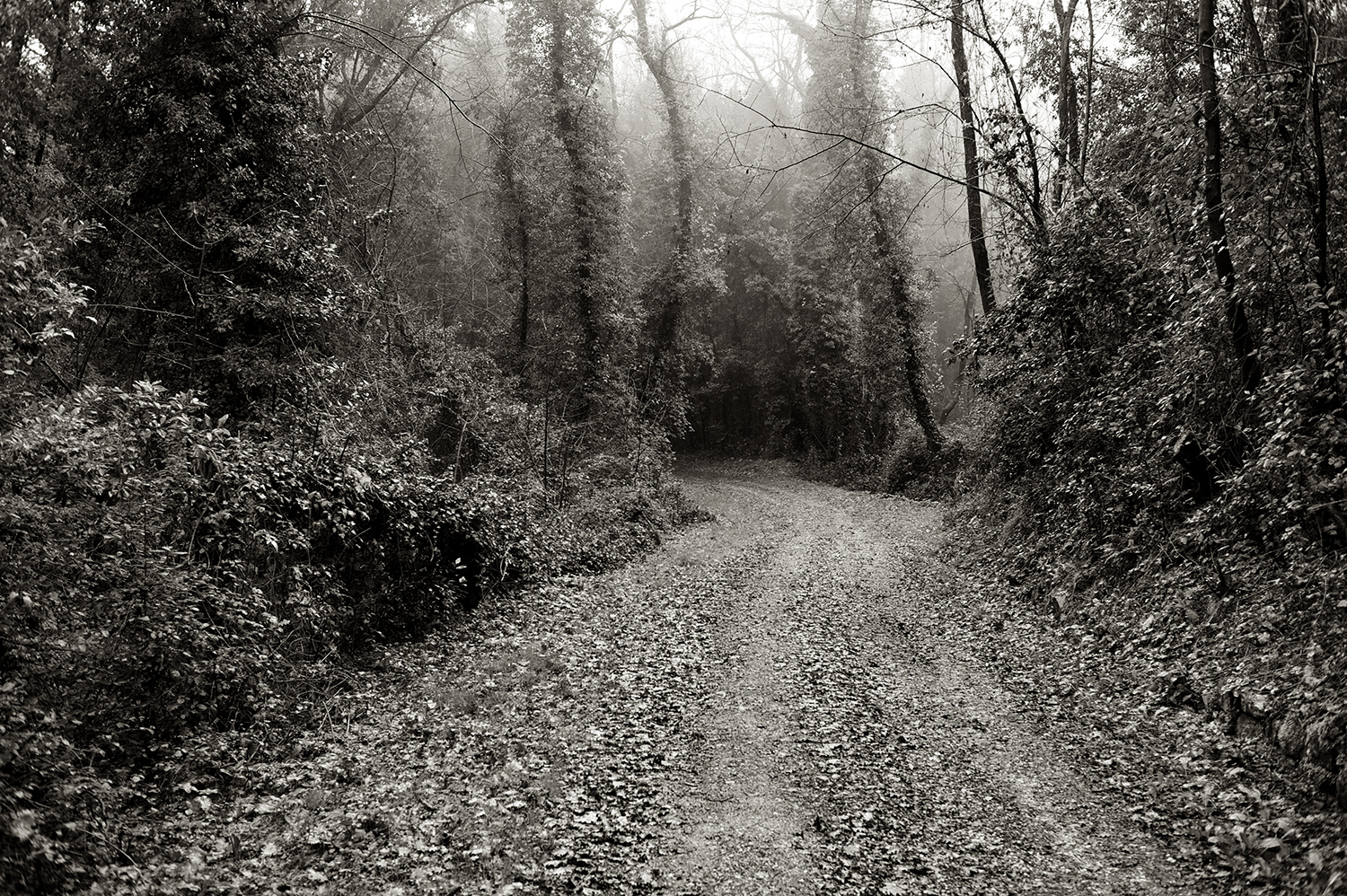 Dirt Road