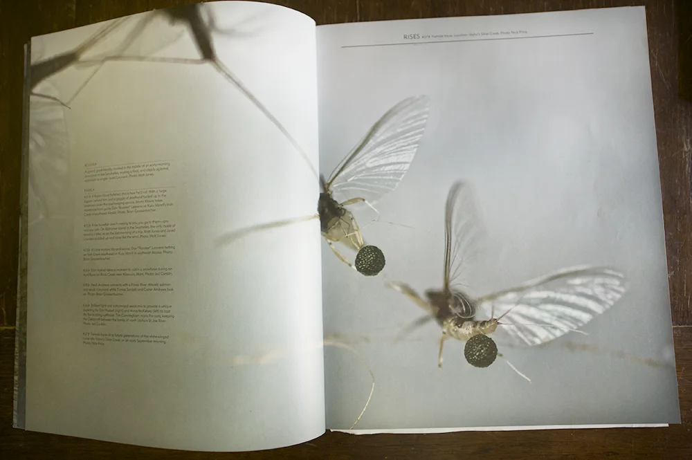 the flyfish journal issue 3.3 image.jpg