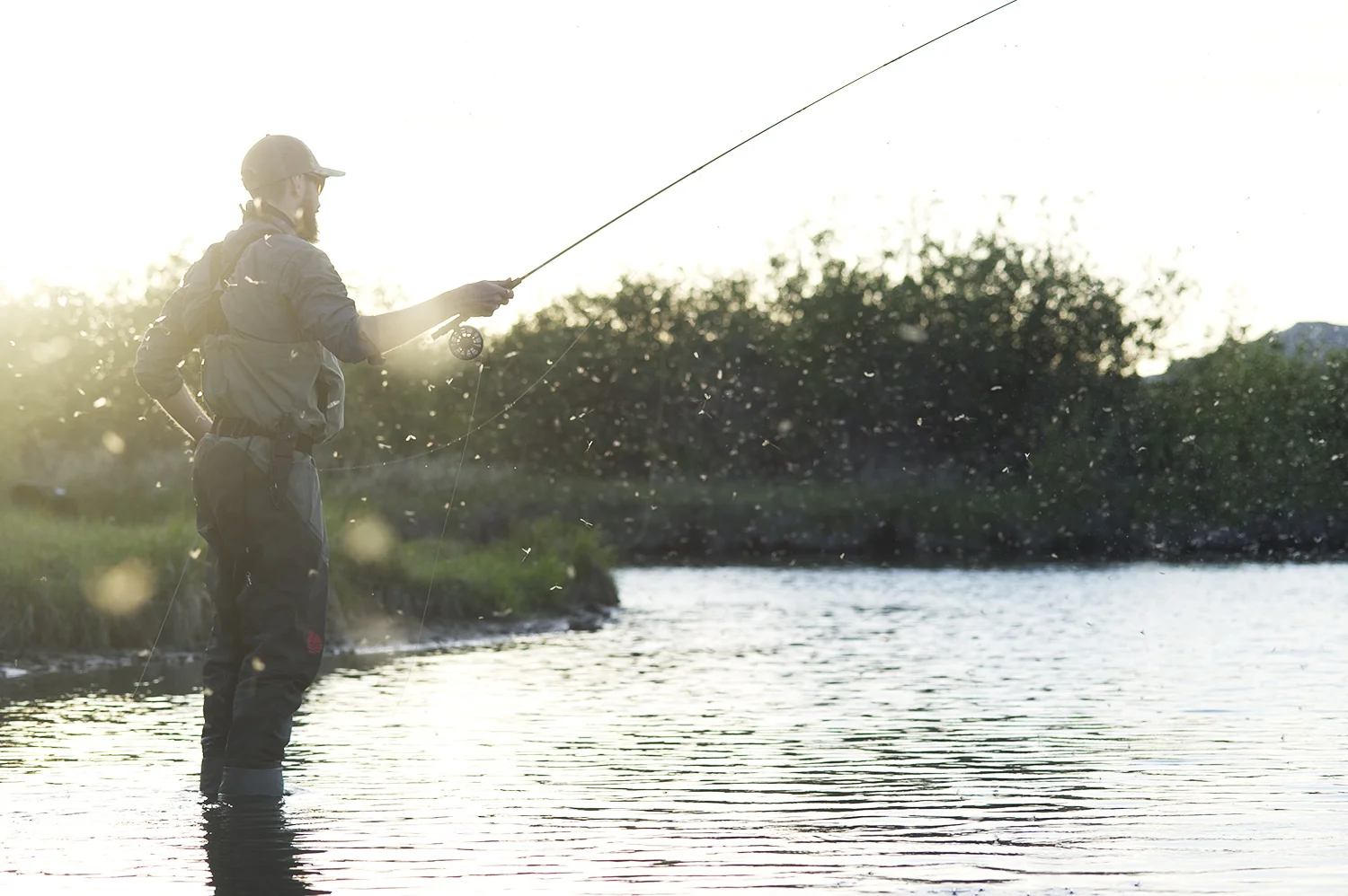 Waning light and spinner fall madness. Ray Gadd.