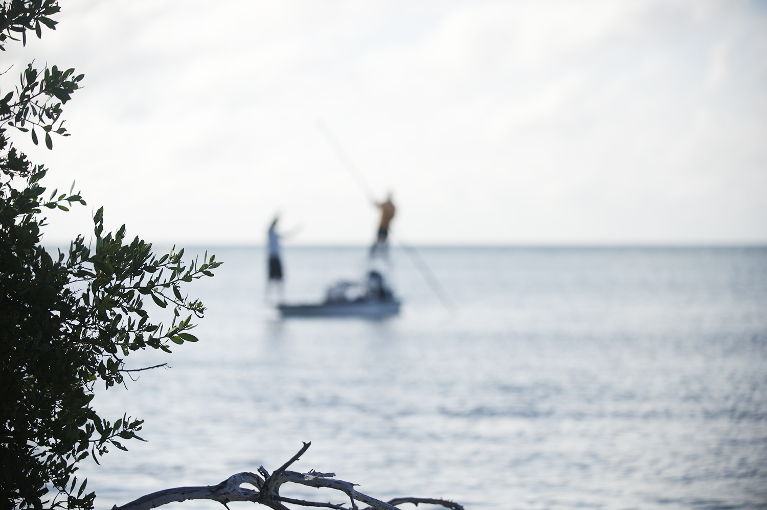 bonefish pulled back nick out of focus landscape.jpg