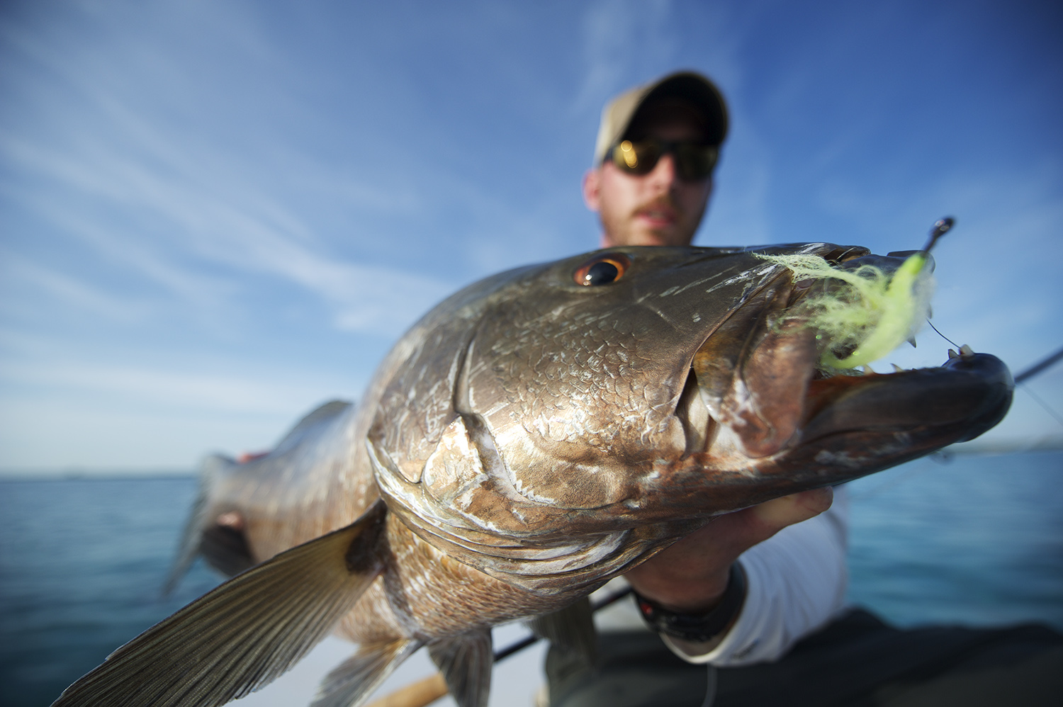 Cubera Snapper