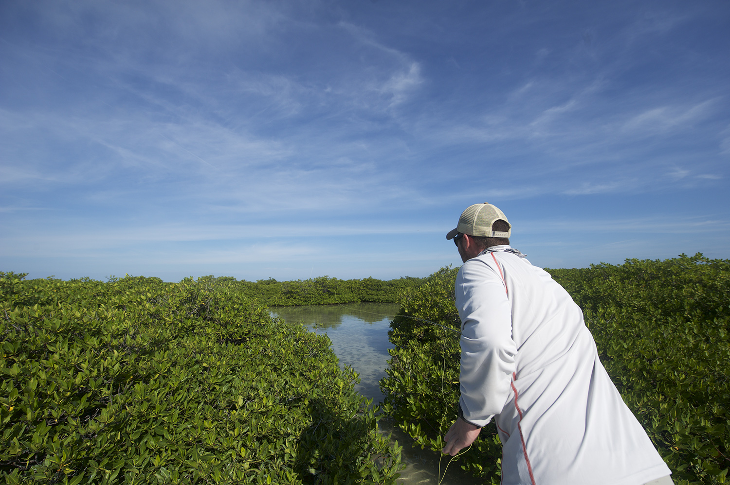 nick casting mangroves.jpg