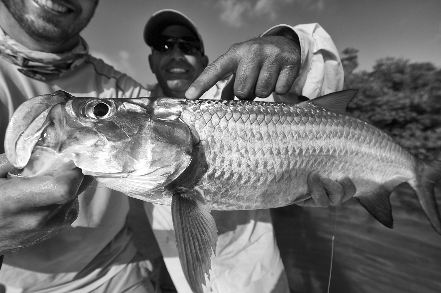 nick keko tarpon bw.jpg