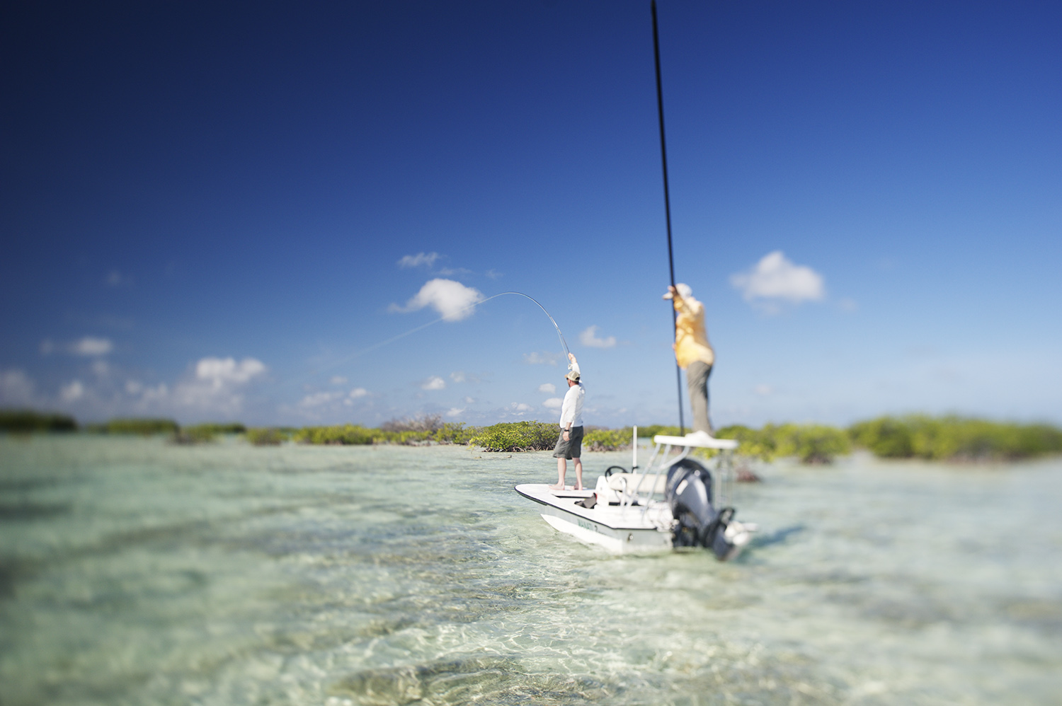 tilt shift bonefish flat fish on.jpg