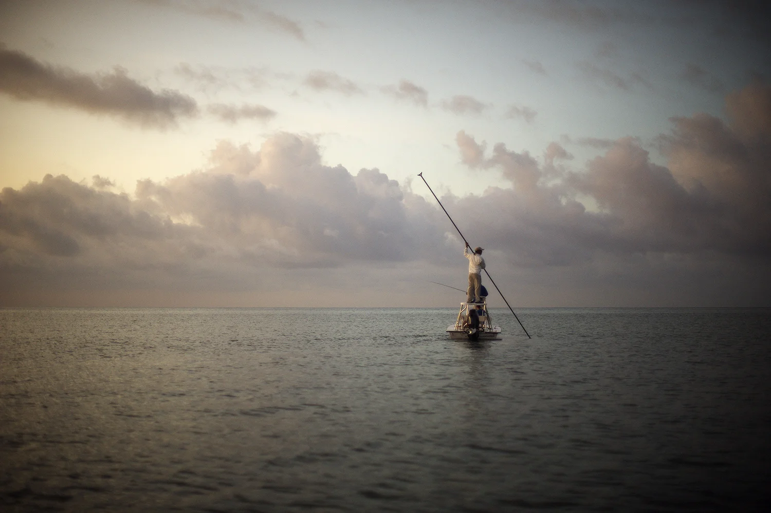 Poling For Tarpon