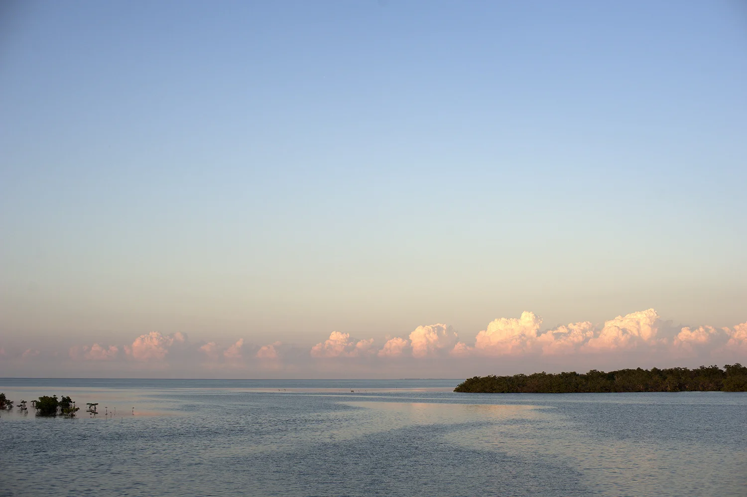 Jardines de la Reina, Cuba after sunset.