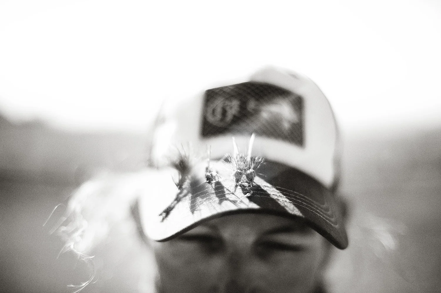 Brent Matthews
