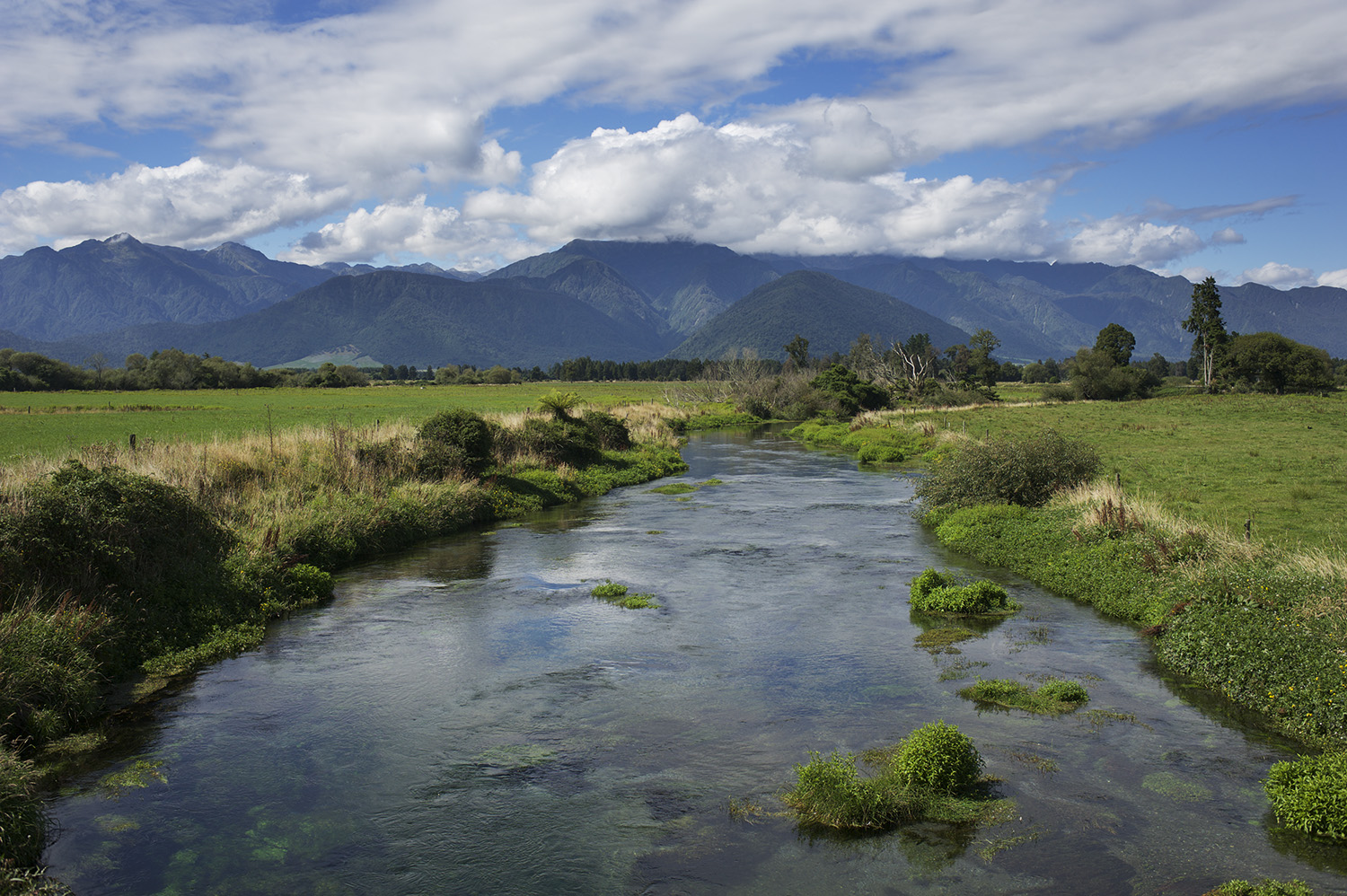 A West Coast Spring Creek