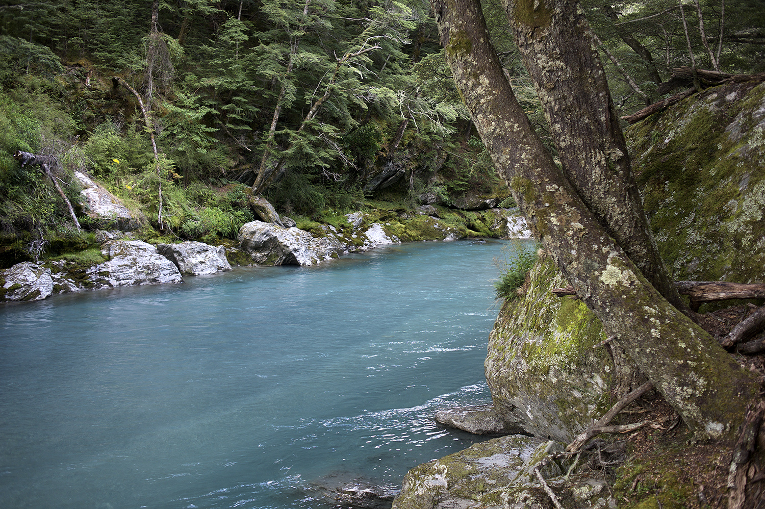 NZ River Turqoise Scape.jpg