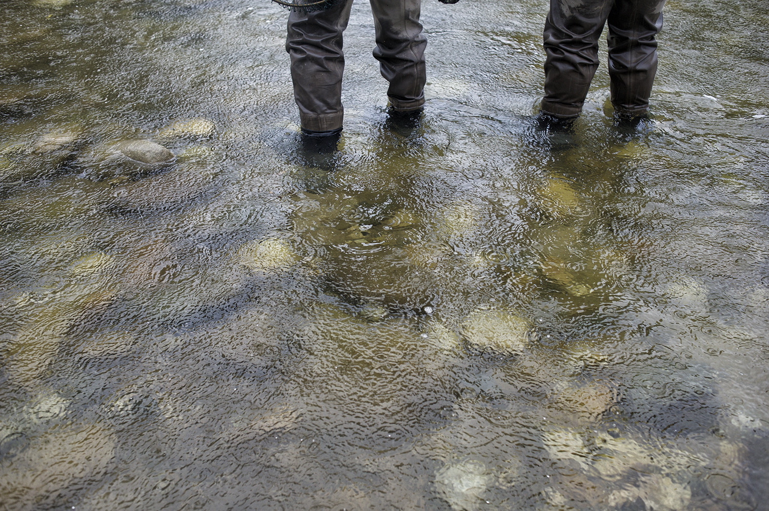 NZ Rain Water Scott Nick.jpg