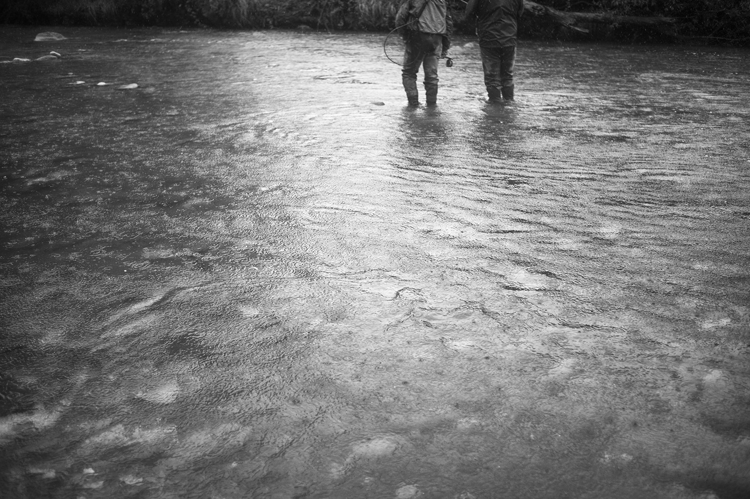 NZ Rain Water Scott Nick BW.jpg