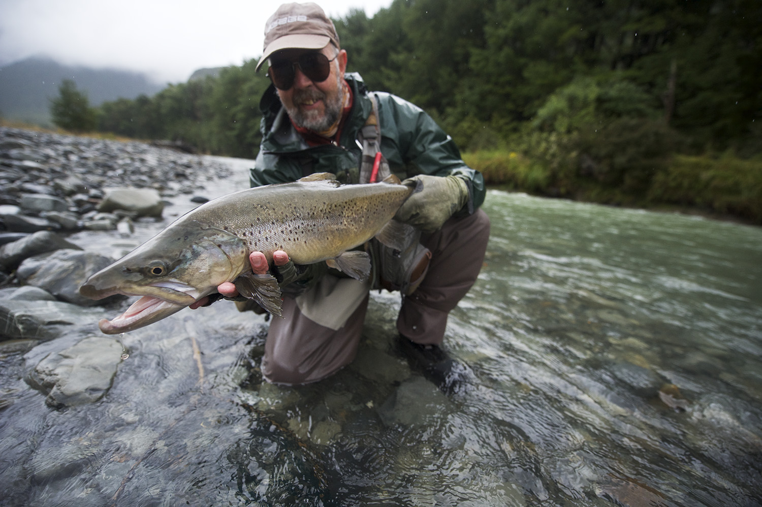 NZ Pete Carty smaller brown.jpg
