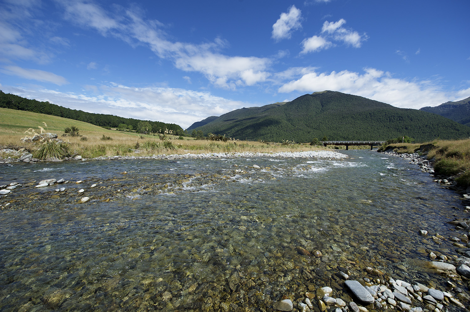 NZ SI River.jpg