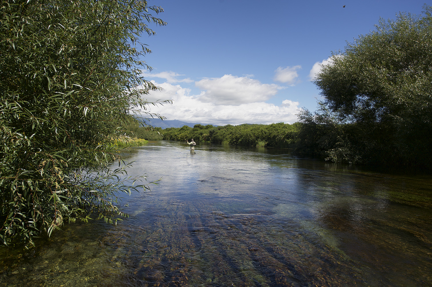 NZ CP Casting Spring Cr II.jpg