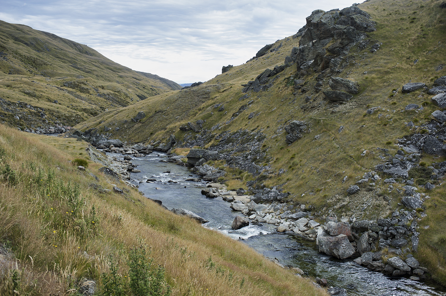 A South Island Backcountry River