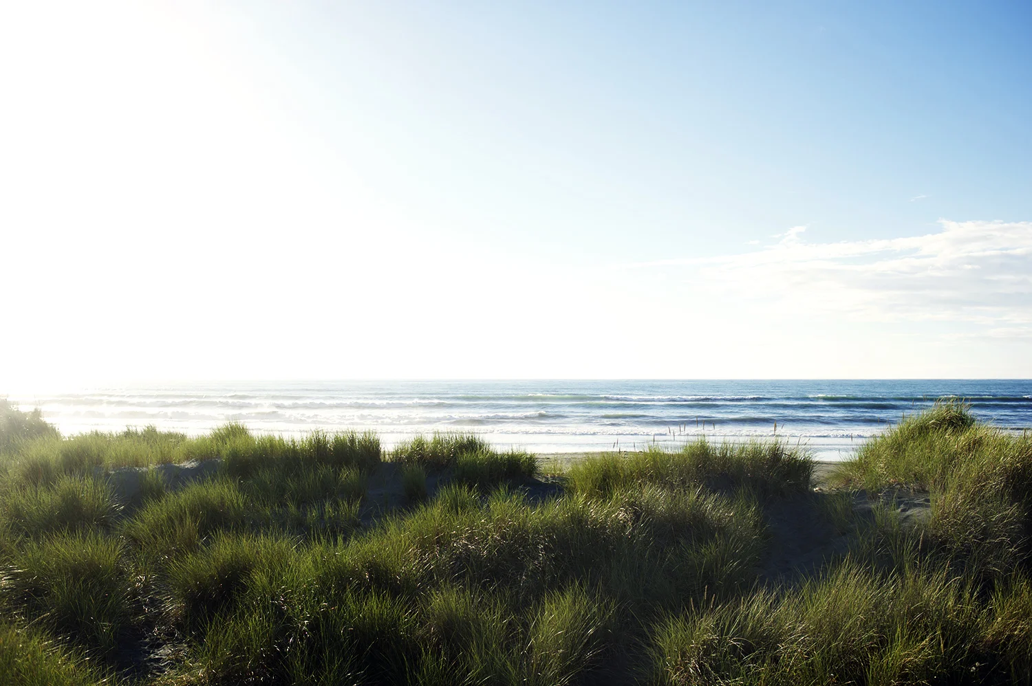 Tasman Sea. South Island