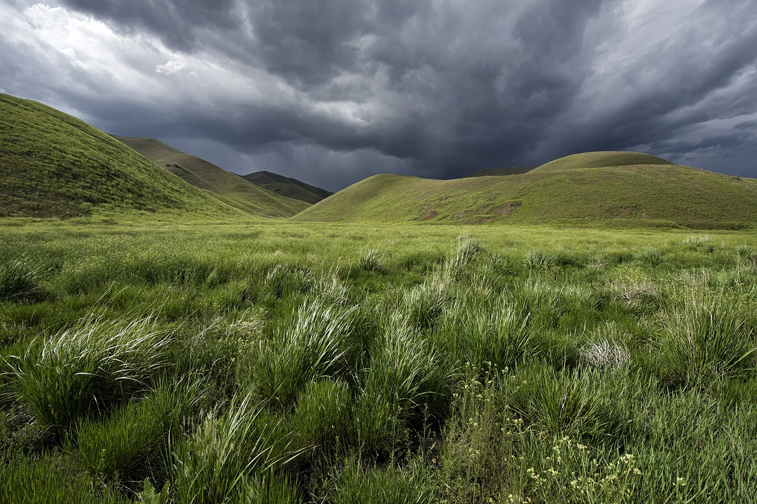 Hailey, Idaho. Late Spring.