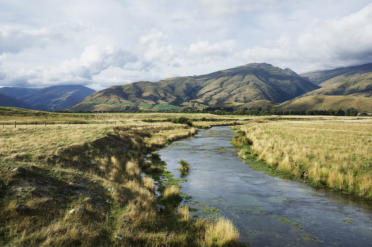 New Zealand Spring Creek