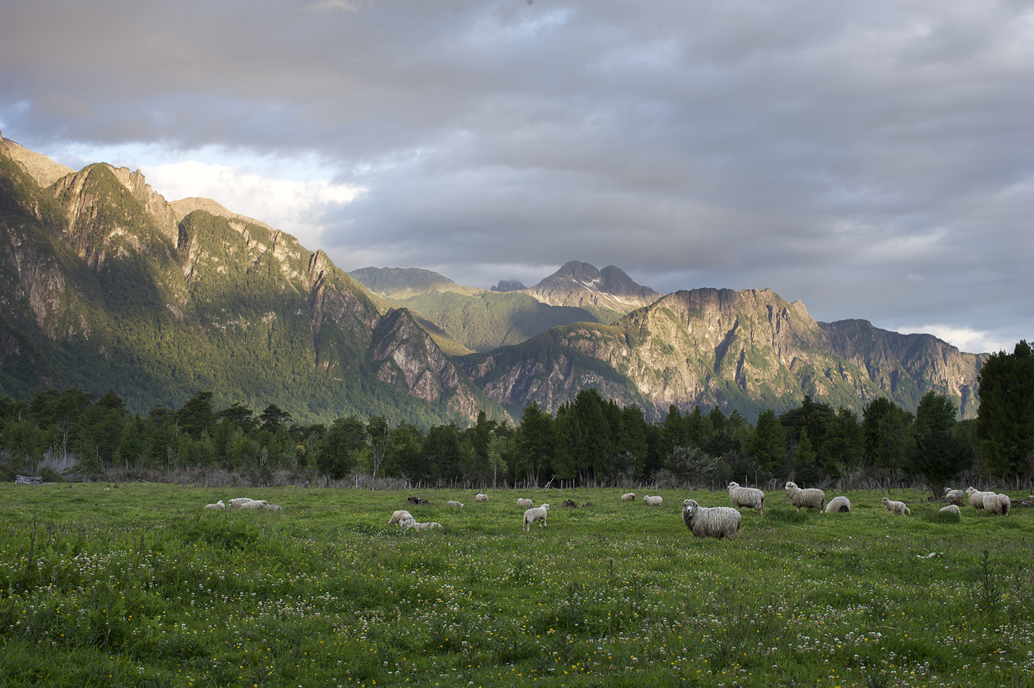 sheep mtns.jpg