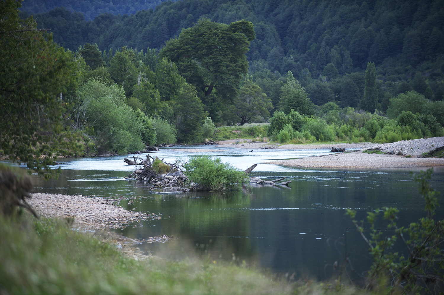 simpson river.jpg