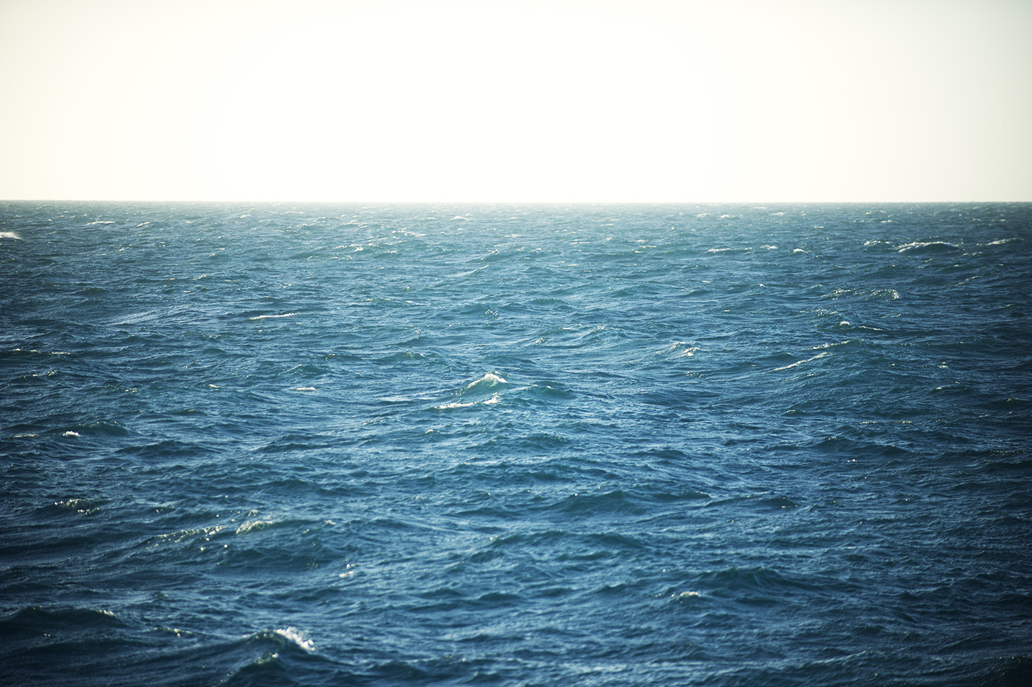 ocean morning wind backlit.jpg
