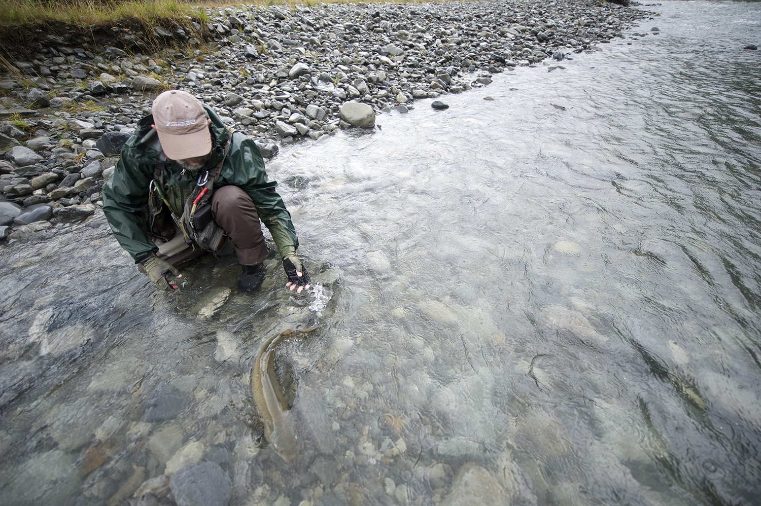 NZ pete carty release.jpg