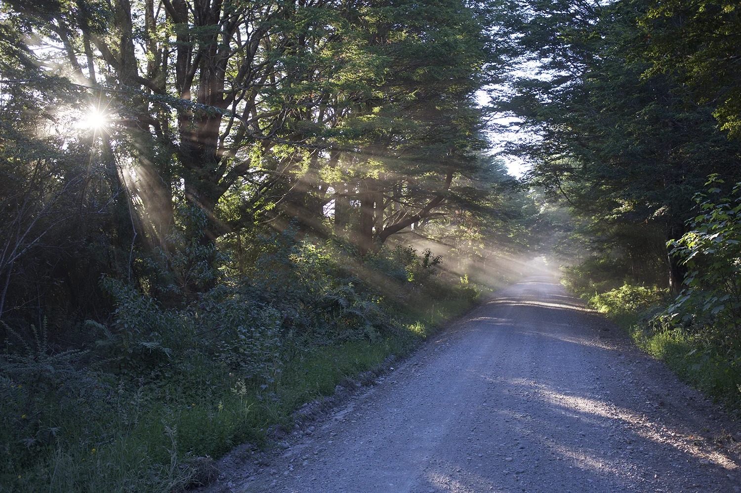 A Patagonia Dirt Road