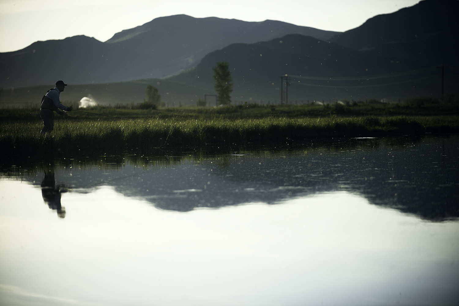 Riser and fisherman.