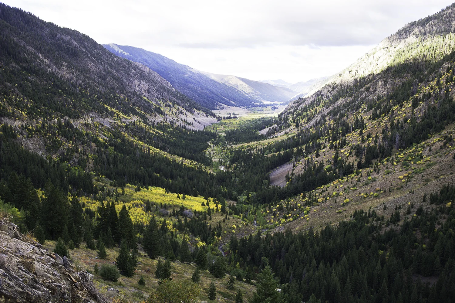 Trail Creek Pass. Fall.