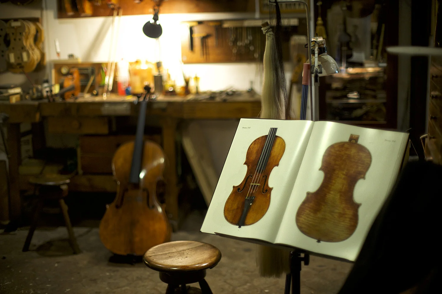 Wooden string instrument shop. Rome, Italy.