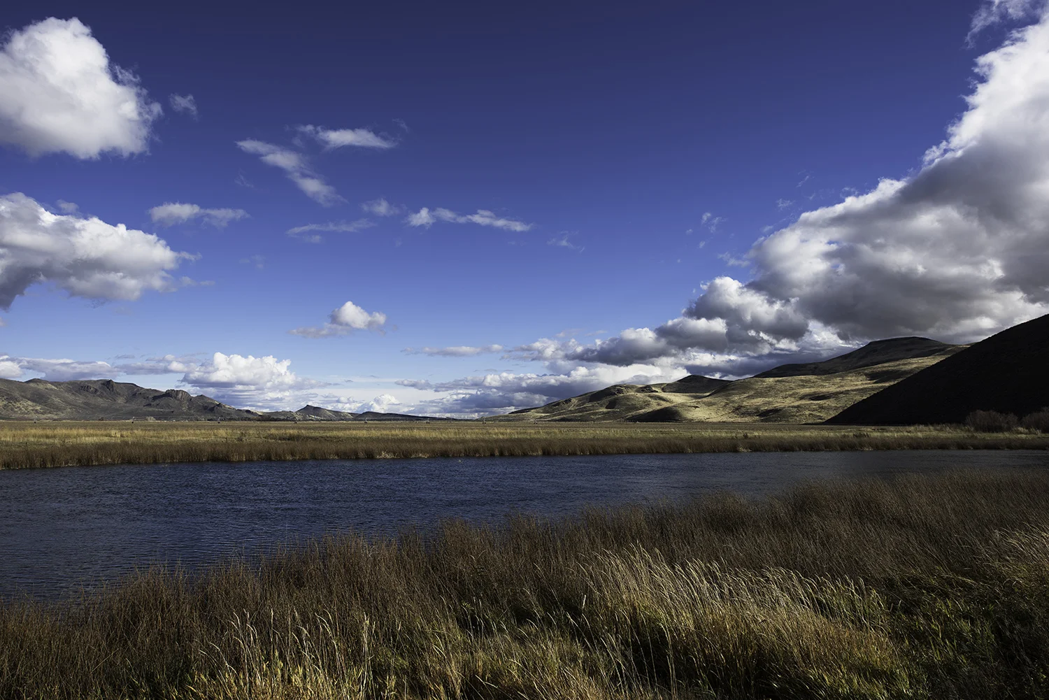 Silver Creek, Idaho. November