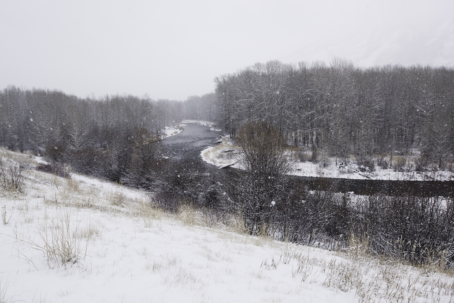 Big Wood River.