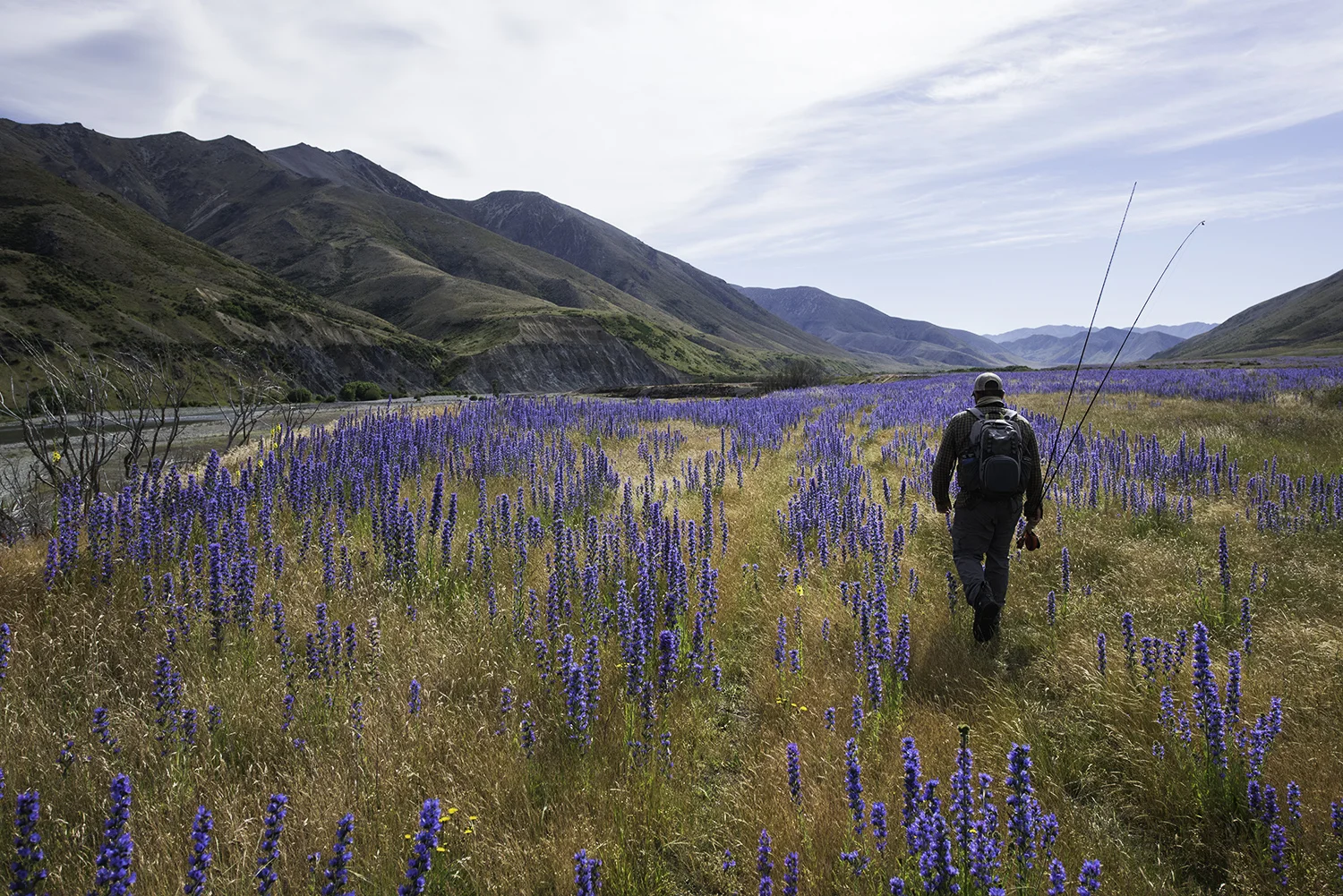 A stunning Canterbury watershed. The wind on this side of the South Island can make up for less rain.