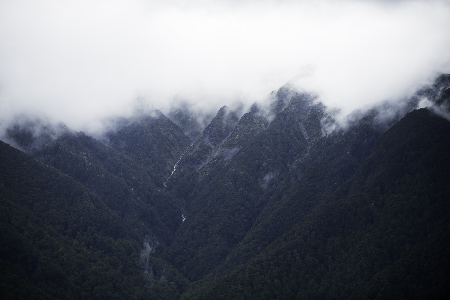 nz2 15.jpg