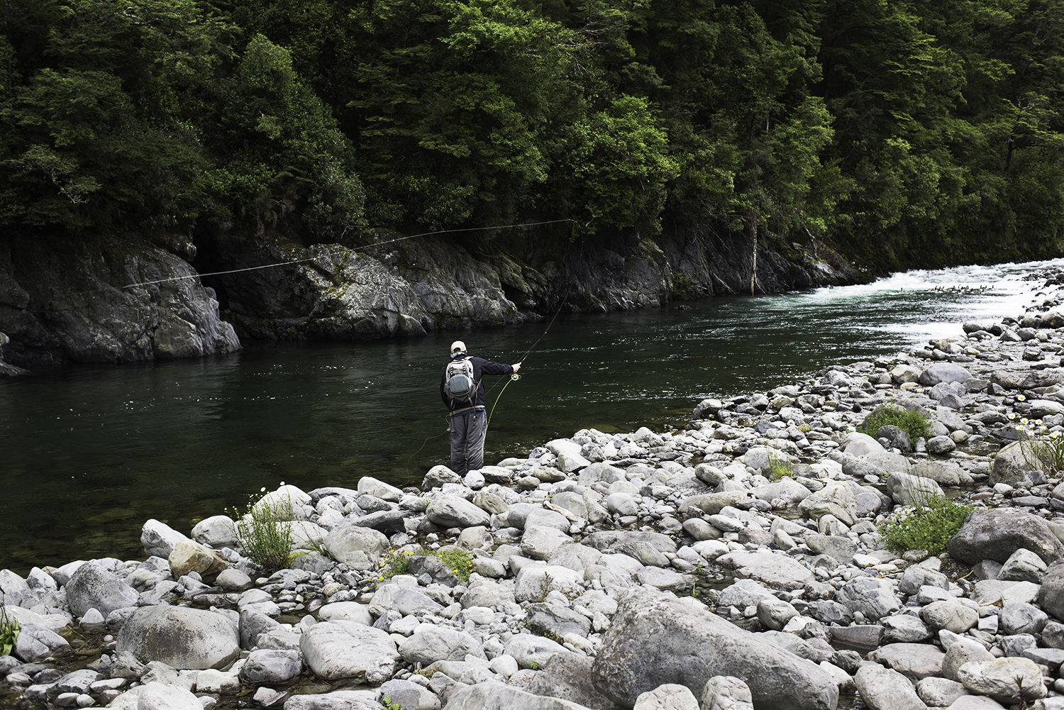 nz2 51.jpg