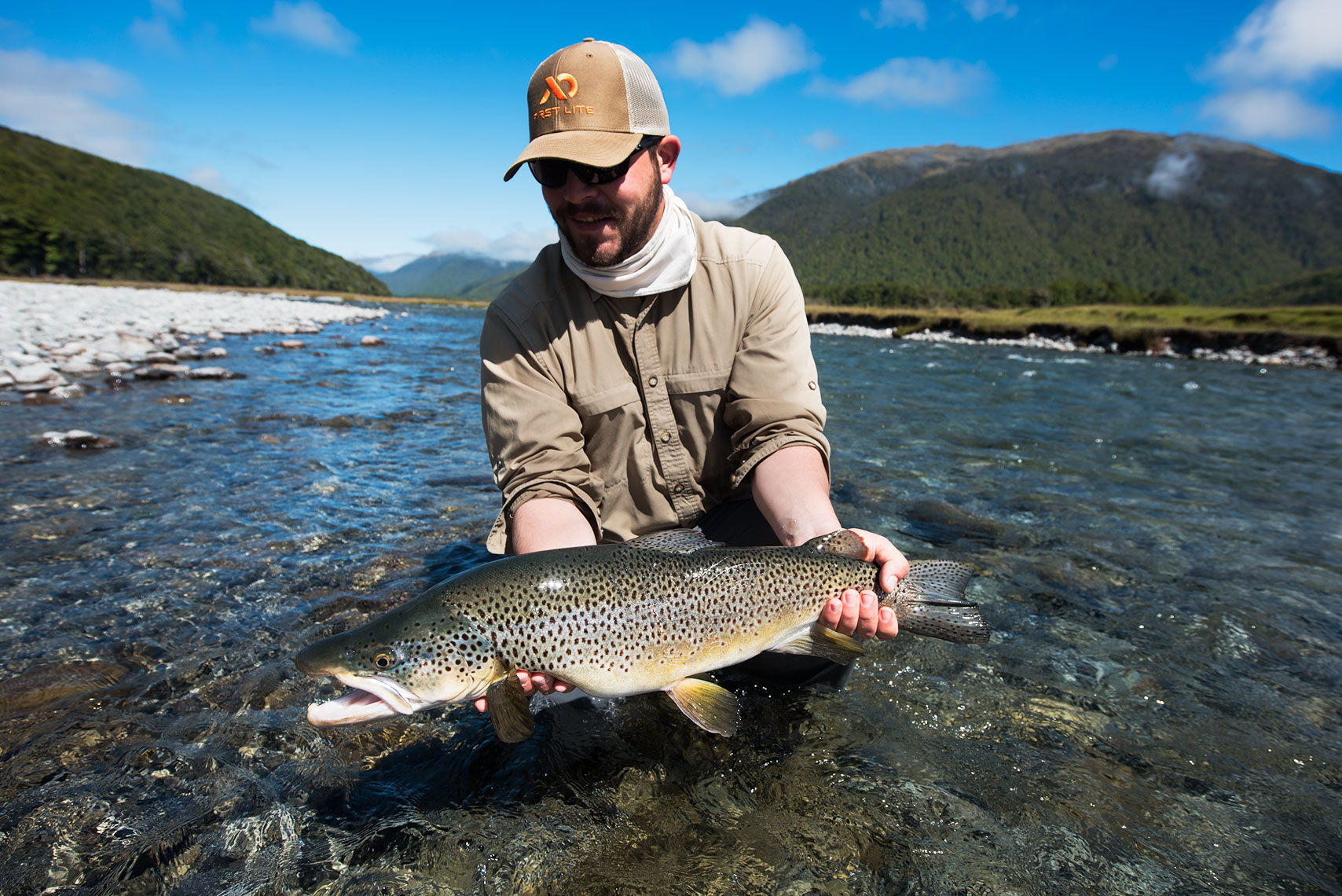 nz2-77-fw.jpg