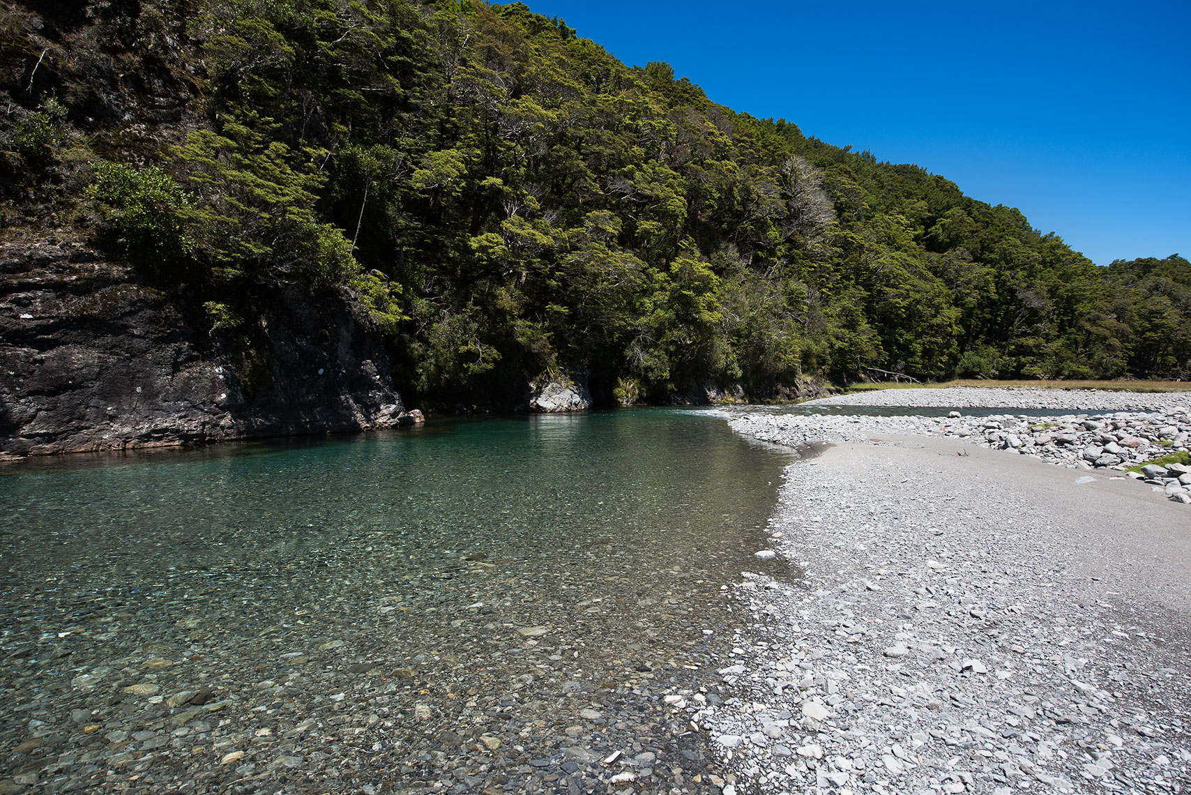 nz2-73-fw.jpg