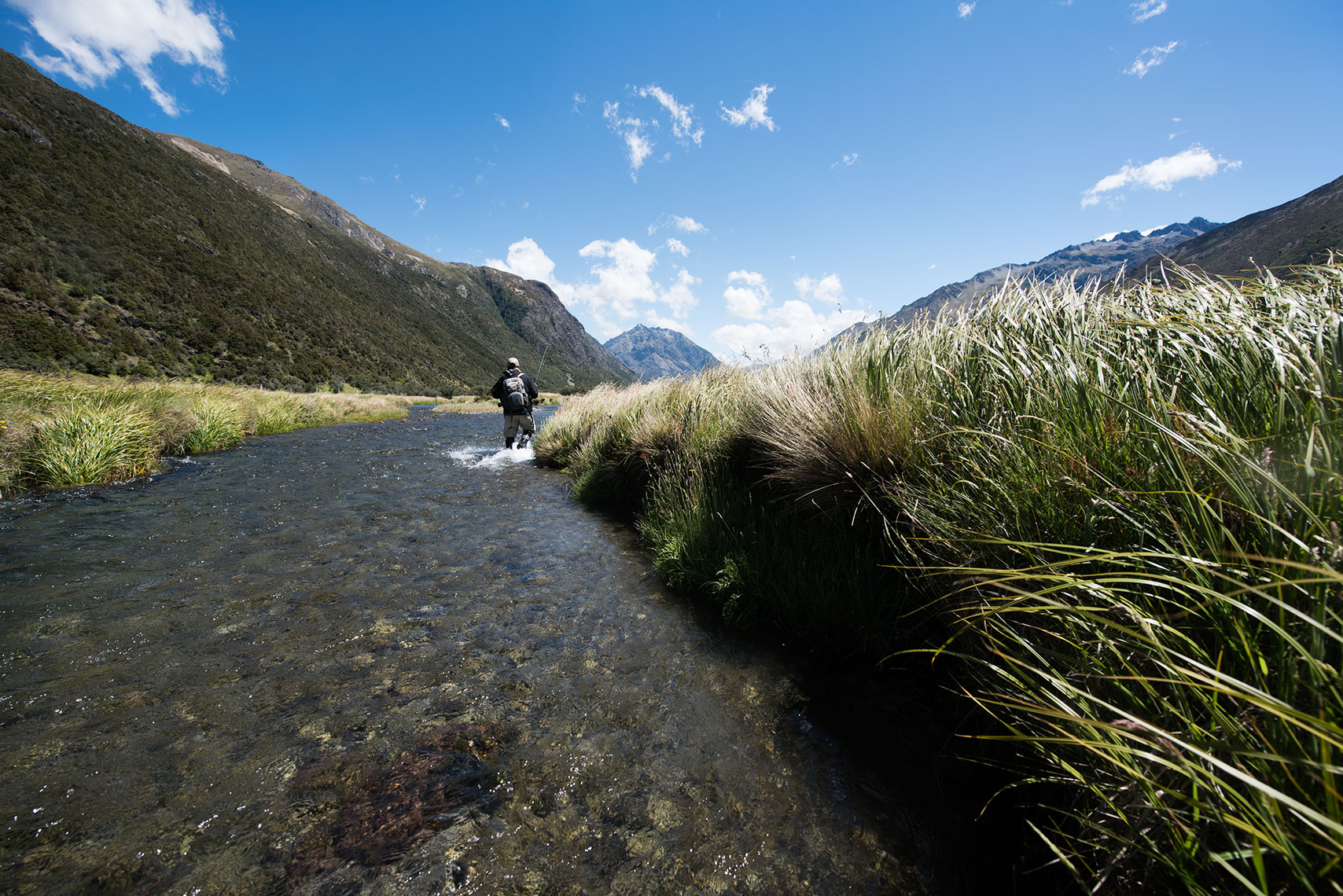 nz2-83-fw.jpg