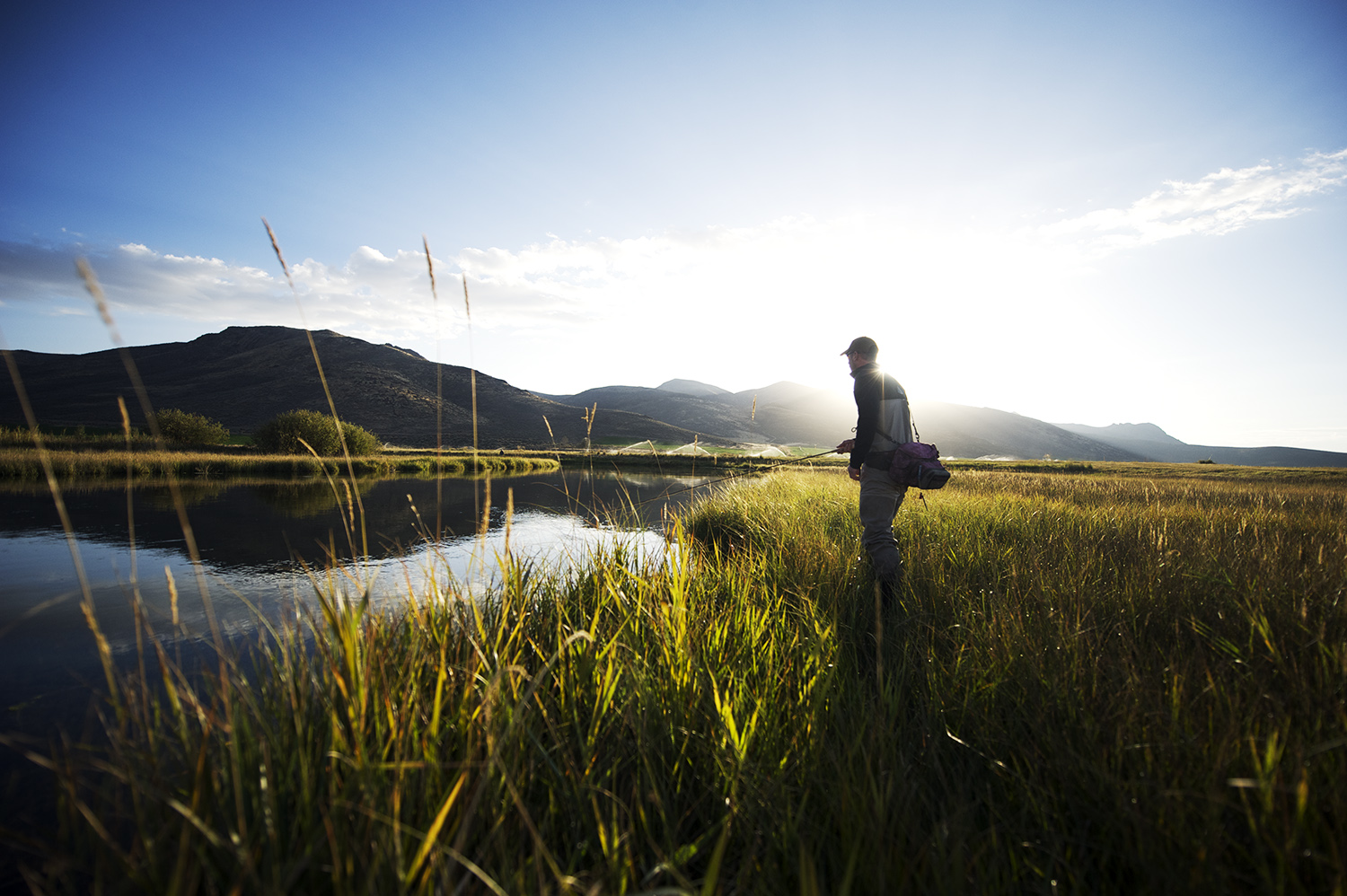 Backlit Silver Creek Fisherman