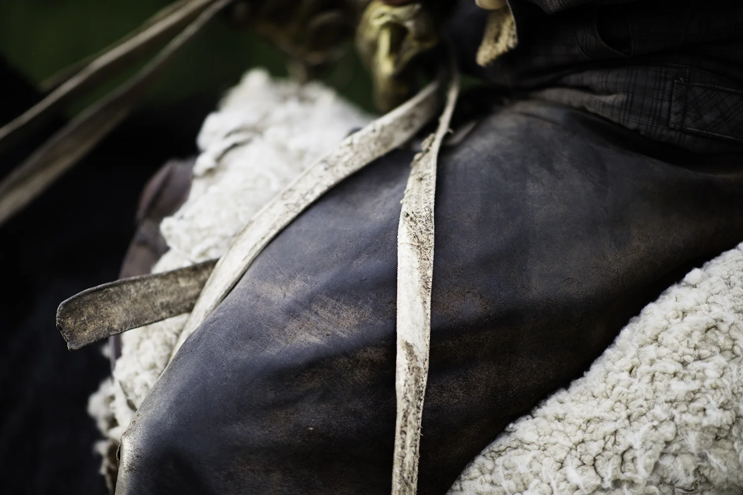 Gaucho Chaps